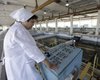 Як вимкнення світла впливає на якість води в Києві: відповідь експерта (відео)
