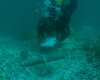 Люди подняли бунт: морские археологи исследовали обломки рабовладельческого судна 18 века