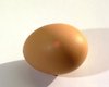 Куриное яйцо на белом фоне стало звездой Instagram