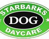 Starbucks просит собачий приют в США отказаться от похожего названия