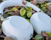 Гідна альтернатива AirPods Max 2: нові навушники Sony випробували у реальному житті (фото)