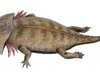 Ученые нашли останки уникальной амфибии