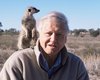 Легендарный натуралист сэр Дэвид Аттенборо в 100-летний юбилей получил необычный подарок