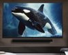 Якісний та недорогий телевізор LG: яка модель до 15 000 грн популярна в Україні (фото)