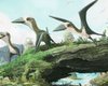 Крокодилий аппетит. Палеонтологи выяснили, чем питались молодые птерозавры