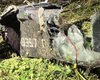 Мог лететь на Москву: в Эстонии обнаружили "заблудившийся" дрон с боевой частью (фото)
