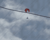В Одеській області помітили "Шахед" із парашутом (відео)