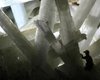 Самые большие кристаллы в мире скрыты в опасной пещере: не каждый рискнет войти в нее (видео)