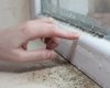 "Простая ошибка": квартира женщины оказалась заражена опасной черной плесенью (видео)