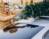 Не потерять по дороге и не заплатить штраф: как легко перевезти елку в автомобиле