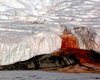 Тайна Кровавого водопада: почему время от времени Антарктида истекает "кровью"