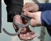 В Донецке задержана преступная группа