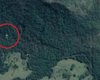 Google Maps, можливо, показали літак, який упав у тропічному лісі Австралії (фото)