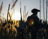 Операция "Вивальди": Зеленский сообщил об успехах наступления в Донецкой области