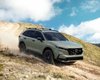 Для українських доріг: Honda CR-V отримала нову позашляхову версію (фото, відео)