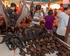 Летучие мыши, собаки и скорпионы: в Китае открылись продуктовые рынки с живым товаром