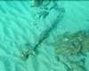 Находка на дне моря. У берегов Израиля аквалангист обнаружил 900-летний меч крестоносца (фото)