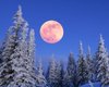 Снежная луна: когда состоится первое полнолуние февраля