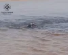 "Знесло сильною течією": у Запорізькій області на воді загинула 11-річна дівчинка