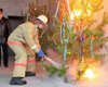 Спасатели показали мастер-класс по тушению новогодней елки
