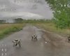 "Дрони-ждуни" в засідках: у чому небезпека російських FPV на тилових дорогах (відео)