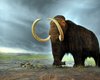 Шерстистые мамонты могли сосуществовать с первыми людьми в Новой Англии, - ученые