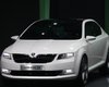 Skoda подтвердила разработку двух новых моделей