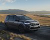 Для большой семьи: стартуют продажи недорогого гибридного кроссовера от Renault (фото)