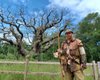 В Великобритании погиб 1200-летний дуб Робин Гуда (видео)