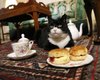 Официальный кот-мышелов британского МИД вышел на заслуженную пенсию