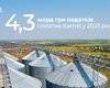 В 2023 году Kernel уплатил в бюджет 4,3 млрд грн налогов