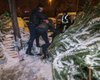 Битва за елку: в Киеве попытка украсть новогоднее дерево переросла в схватку на топорах и ножах