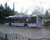 Минобороны винит террористов в донецкой трагедии, заведено дело