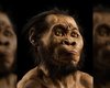 Мудрецы древнего мира: 3 особенности, отличающие Homo Sapiens от обезьян