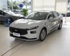 Новый Ford Mondeo 2023 получил бюджетную версию по цене "Дастера" (фото)