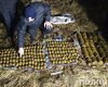 Житель Хмельницкой области нашел 3 мешка гранат