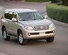 Продажи Lexus GX 460 приостановлены во всем мире