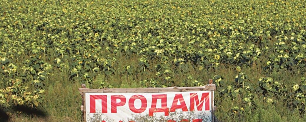 Осторожно, рынок открывается. Какие проблемы ожидают украинцев при купле-продаже сельхозземли