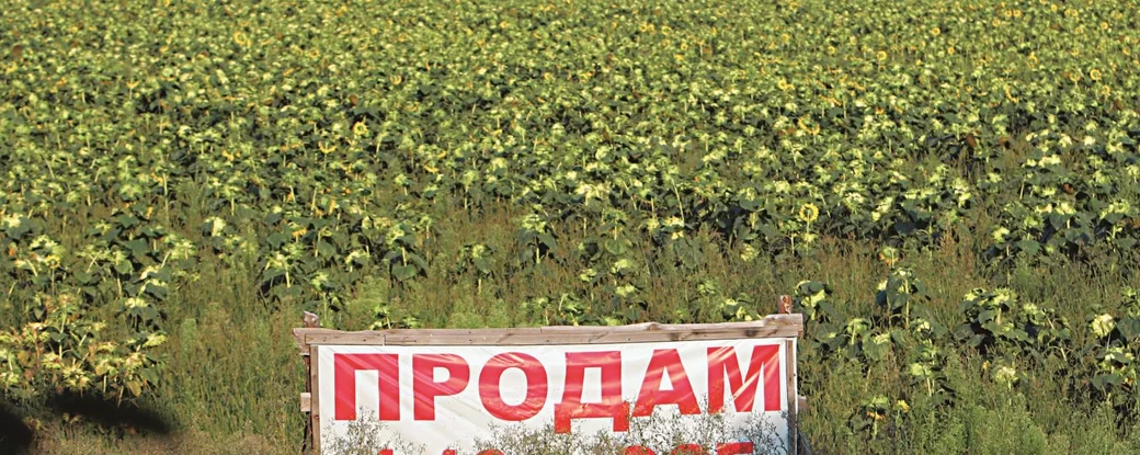 Осторожно, рынок открывается. Какие проблемы ожидают украинцев при купле-продаже сельхозземли