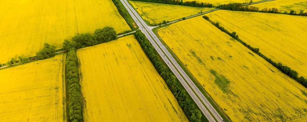 Чим небезпечний ринок землі, проголосований "слугами"