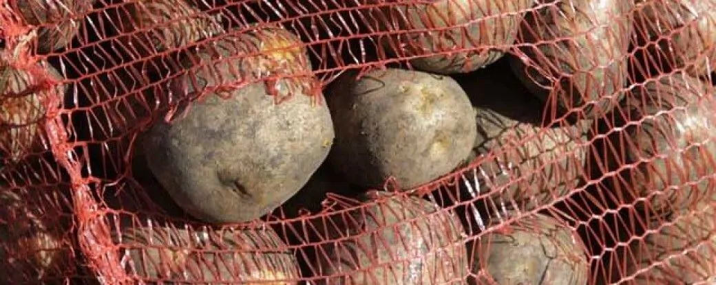 Картошка на крови. Как русские крестьяне с сатаной воевали