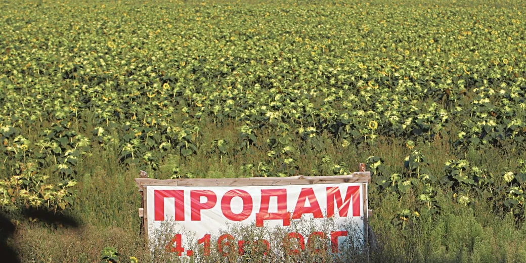 Осторожно, рынок открывается. Какие проблемы ожидают украинцев при купле-продаже сельхозземли