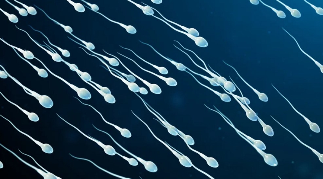 5 диких выдумок о мужской сперме