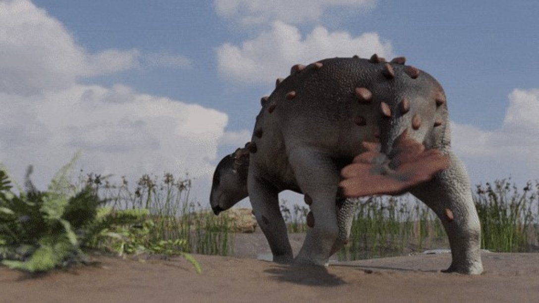 анкилозавр, Stegouros elengassen