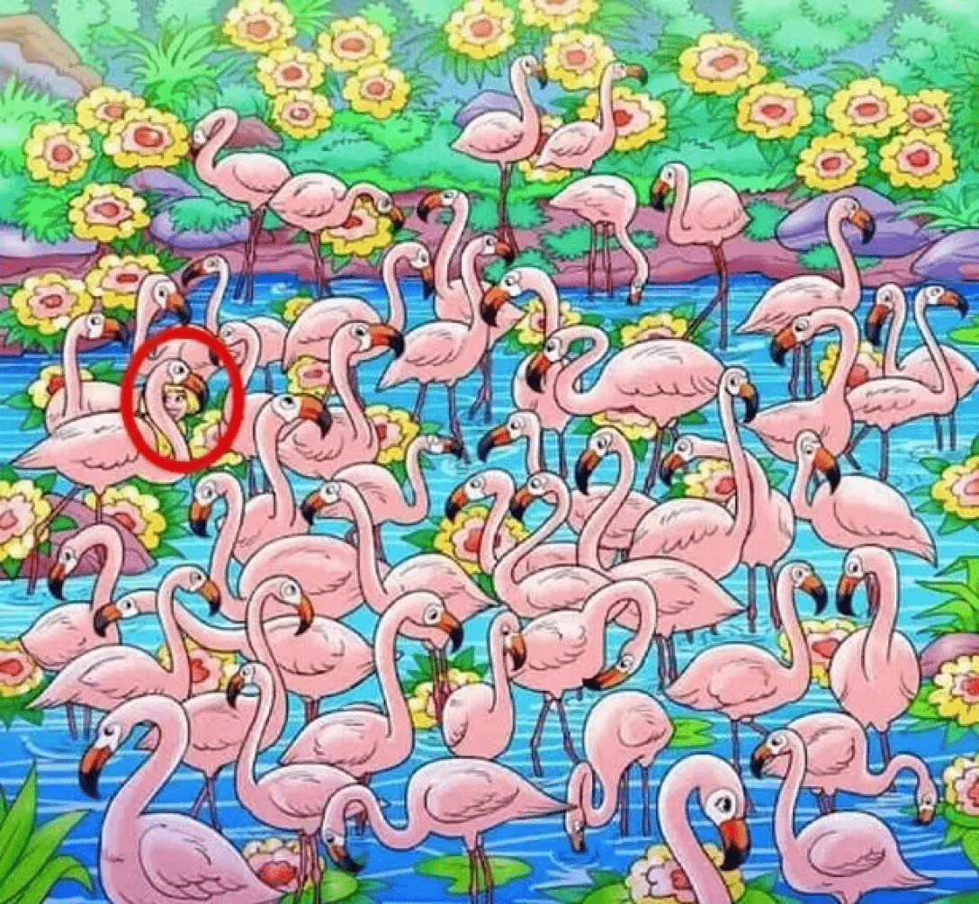 Визуальная головоломка, оптическая иллюзия, тест, проверка зрения, тренировка памяти, фламинго, девочка среди фламинго, желтые волосы