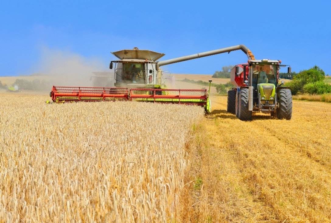 пшеница, пшеничное поле, урожай, комбайн