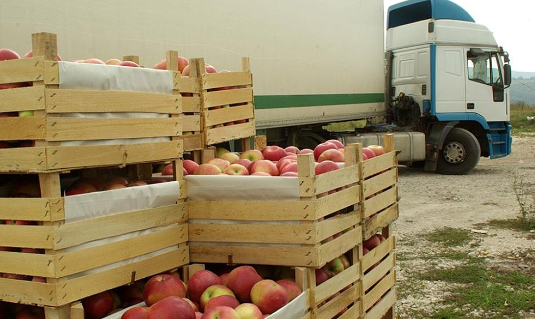 Польща експортує до України безліч товарів, зокрема фрукти й молочну продукцію