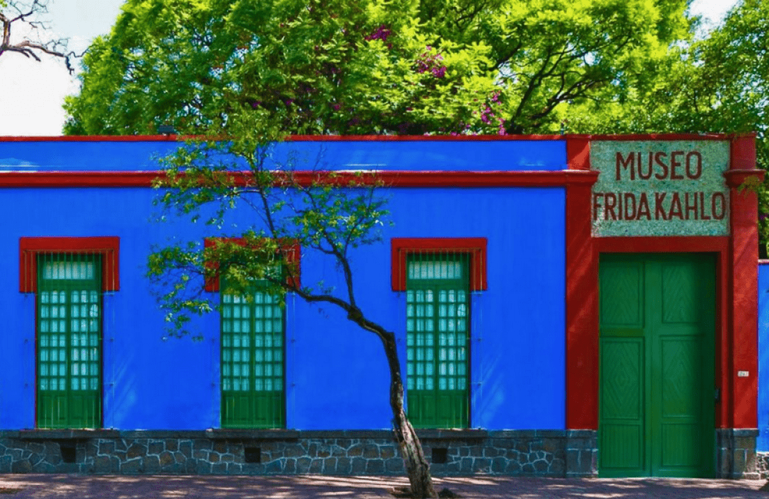 будинок-музей Фріди Кало, дерева