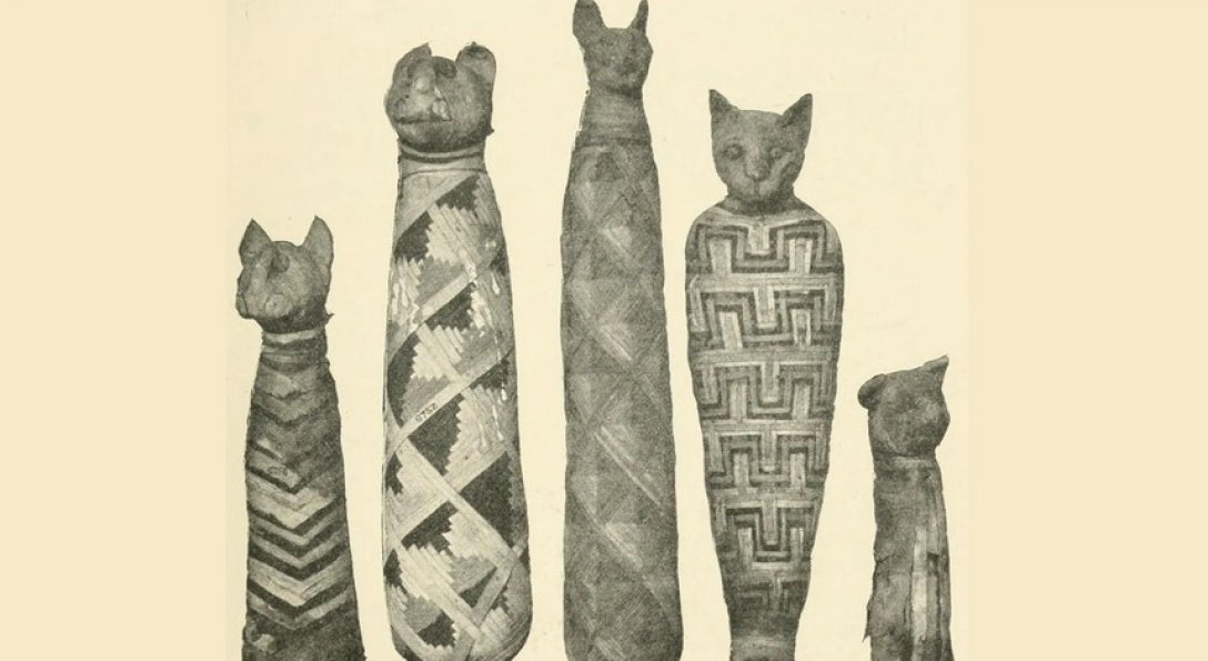 кошка, мумия, Древний Египет