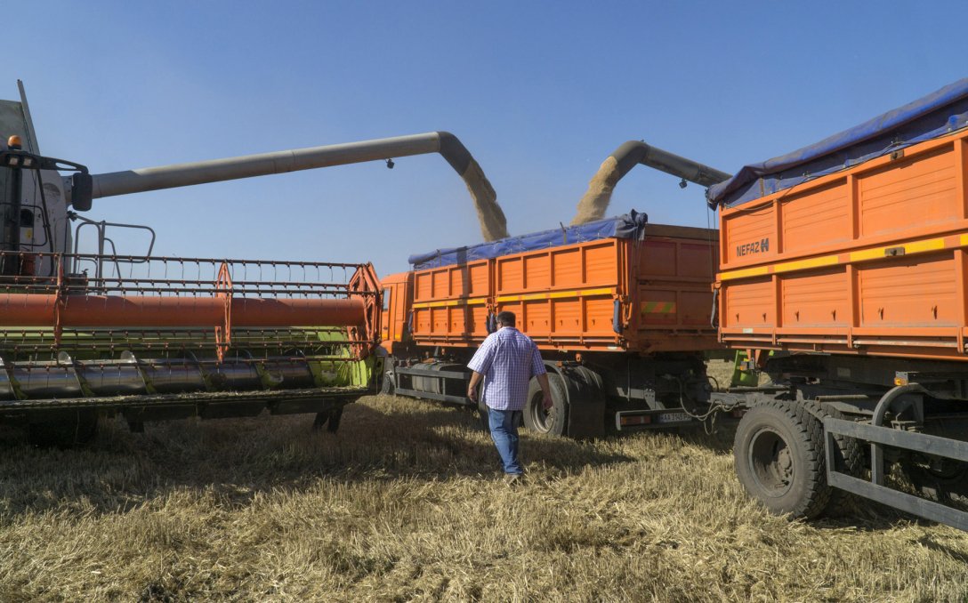 ЗРЕЛИЩА БЕЗ ХЛЕБА. Согласно законопроекту, после 2030 года украинские аграрии лишатся возможности закупать новые грузовики с ДВС для использования на дорогах общего пользования